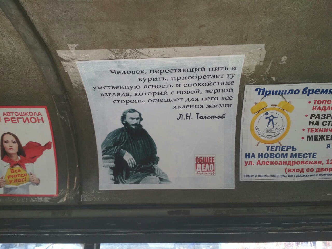 Социальная реклама ООО «Общее дело» появилась в маршрутных такси Таганрога